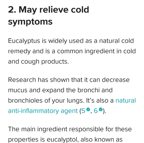 Homemade Eucalyptus Greek Yogurt Organic Soap - Picture 8 of 16